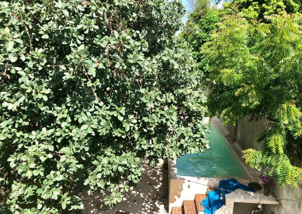 Casa "La 44" Acomodação com café da manhã Mérida Exterior foto